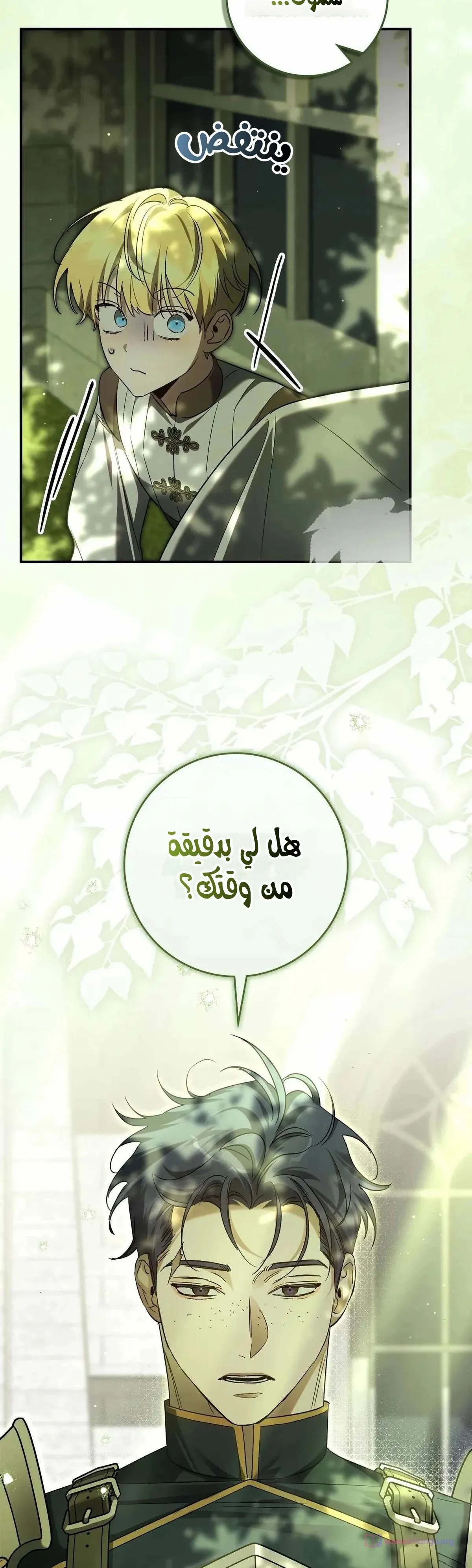 الصفحة 21