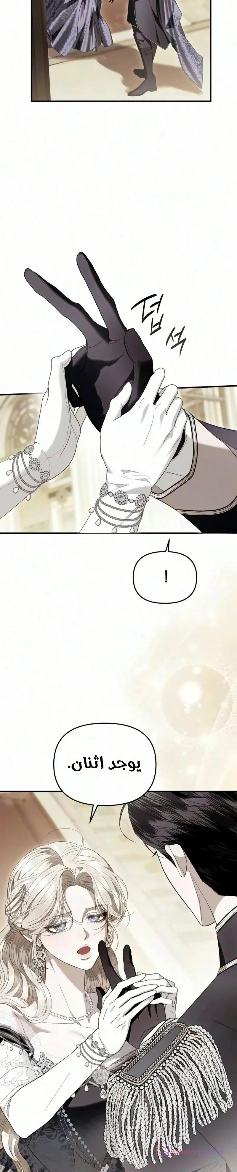 الصفحة 17