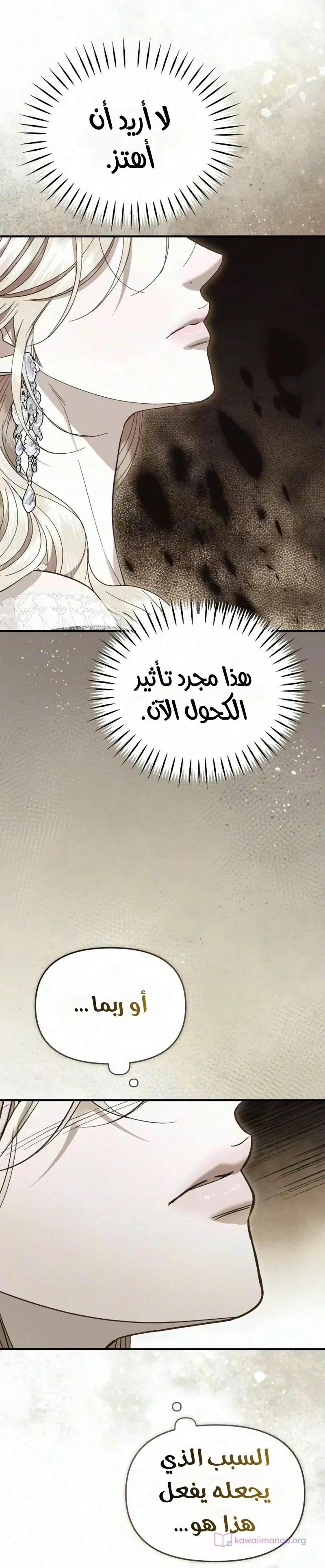 الصفحة 25