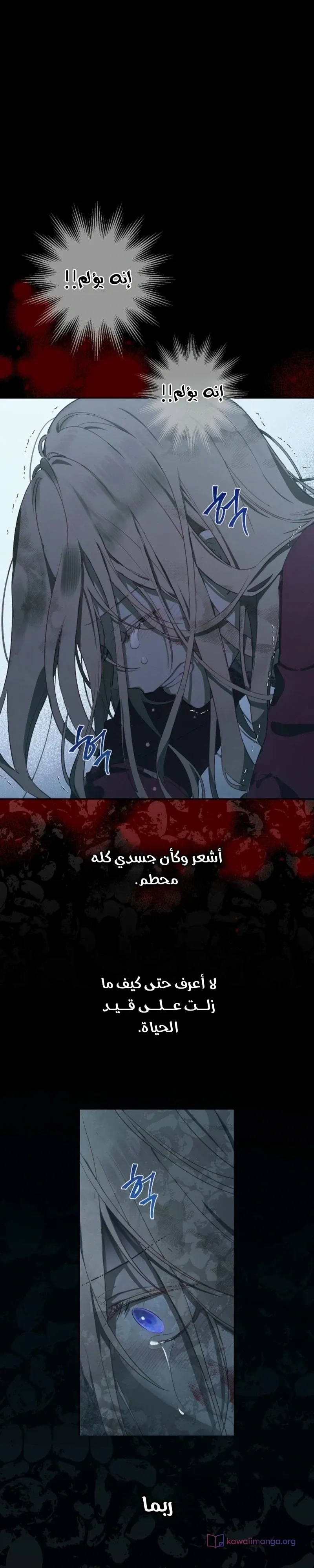 الصفحة 8