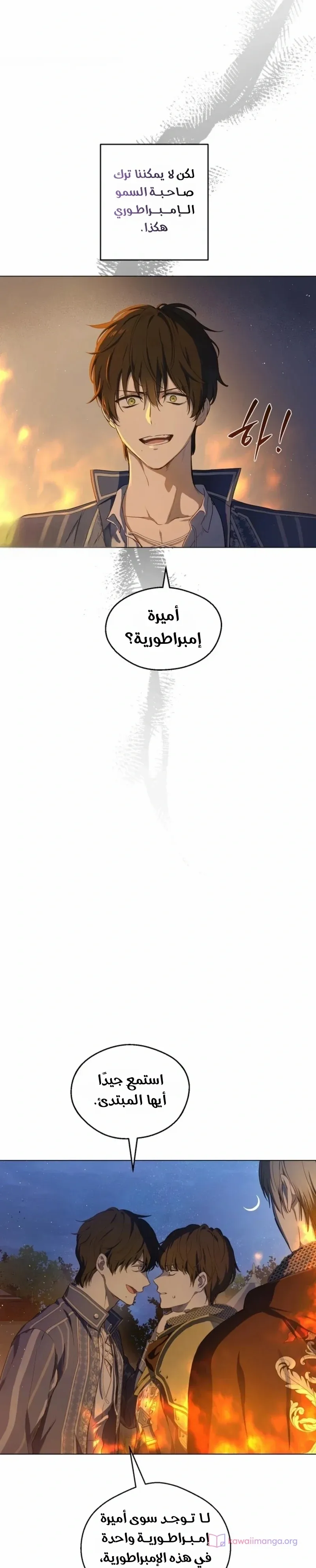 الصفحة 19