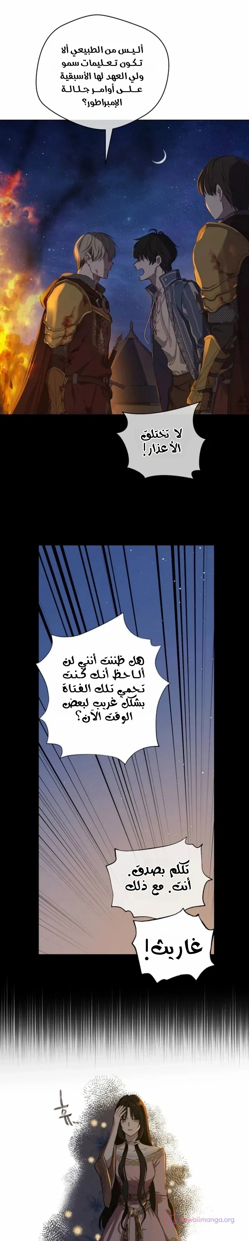الصفحة 22