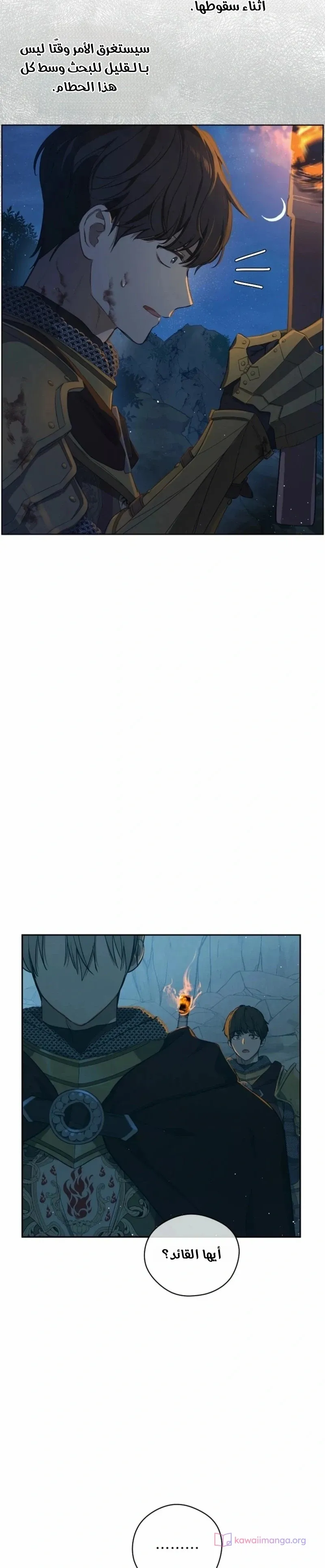 الصفحة 31