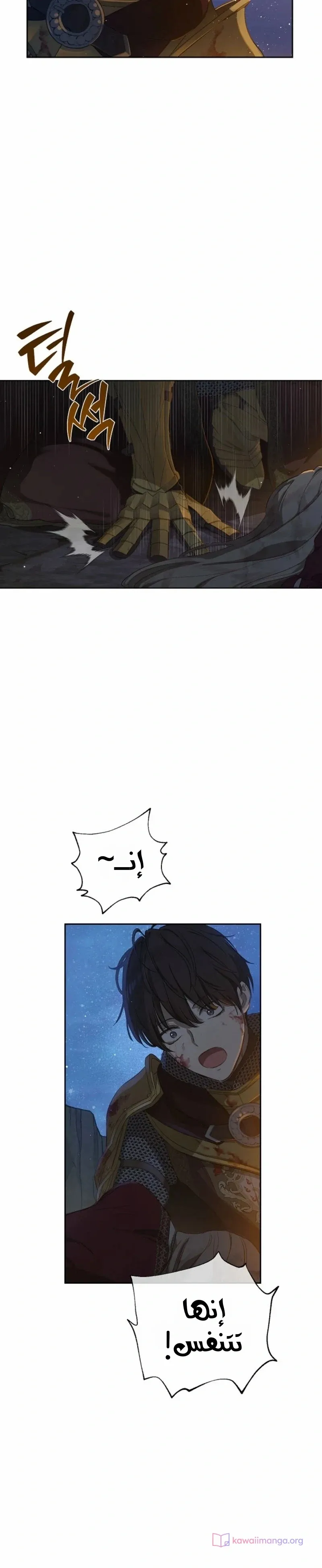 الصفحة 14