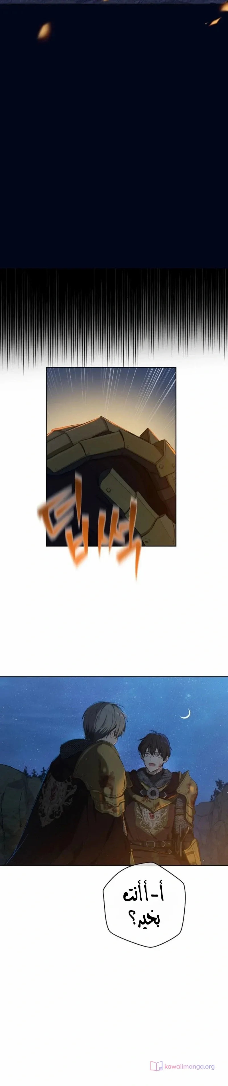 الصفحة 24