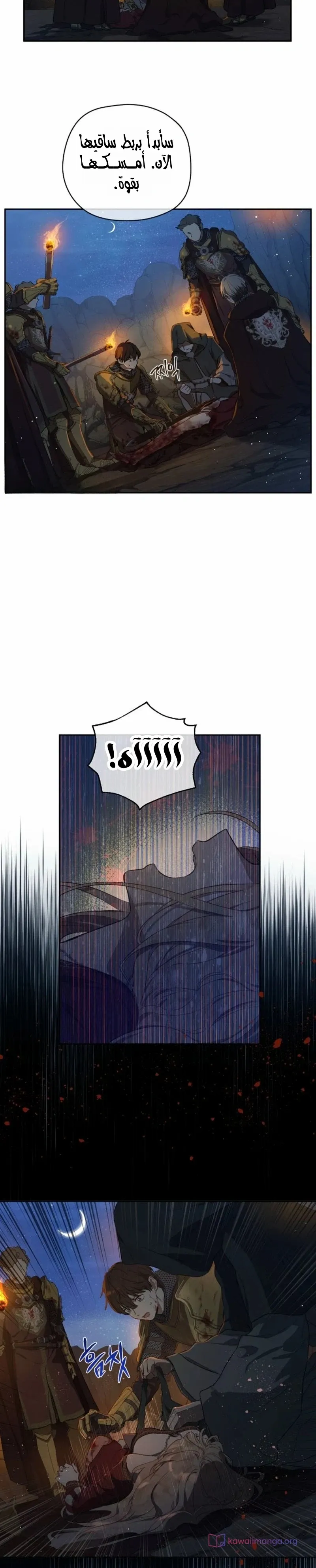 الصفحة 30