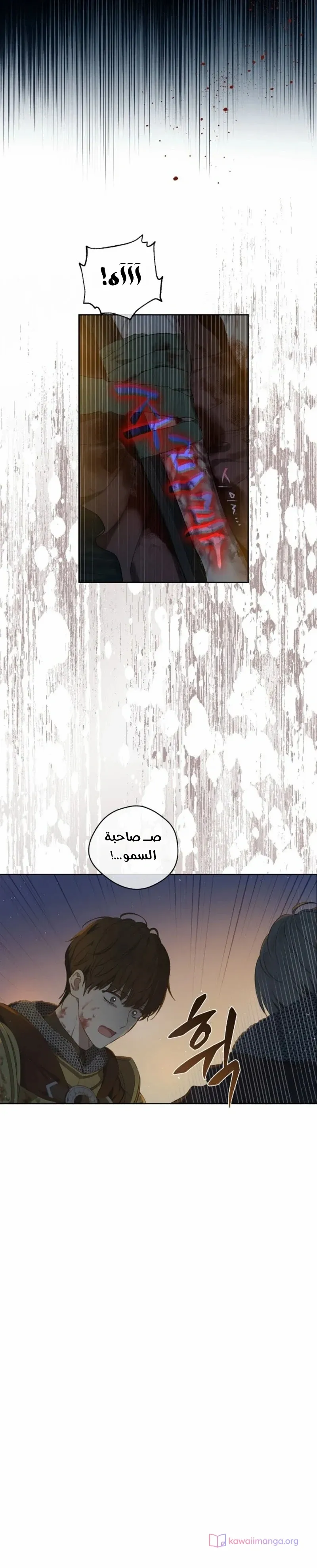 الصفحة 31