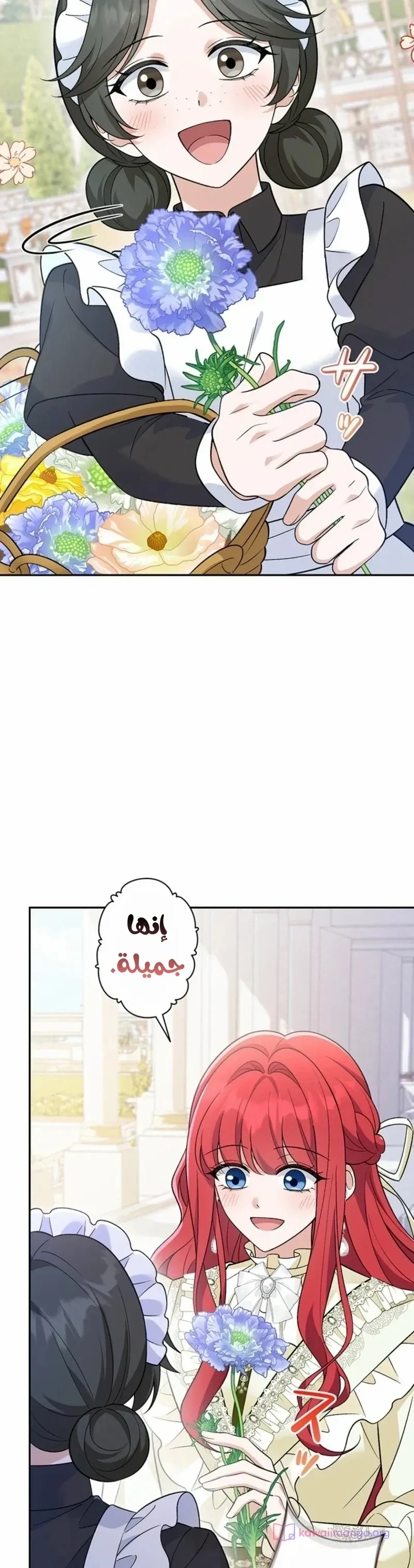 الصفحة 2