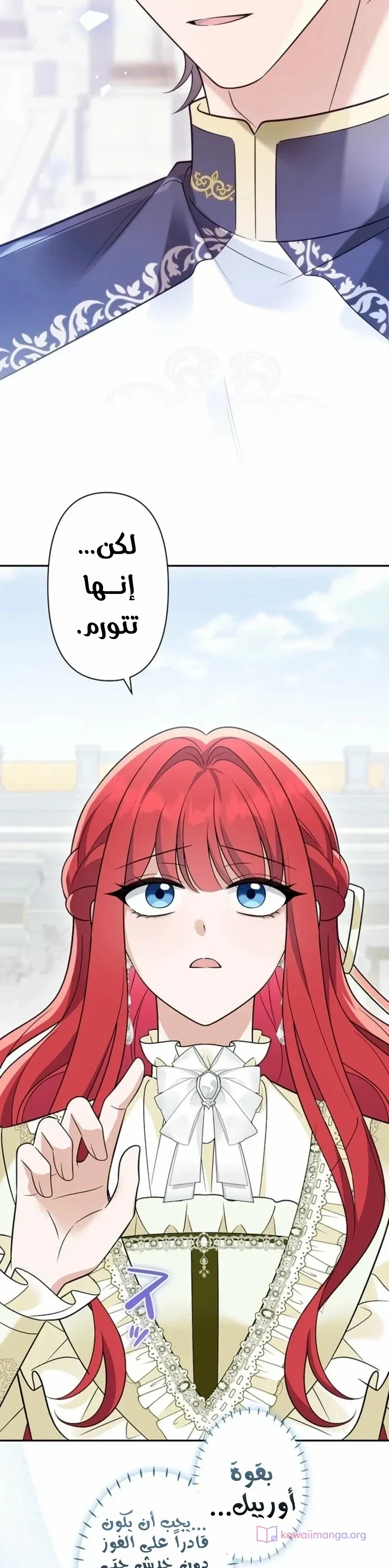 الصفحة 21