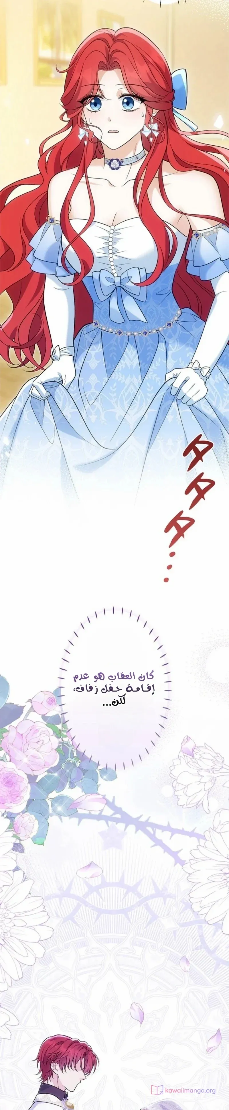 الصفحة 17