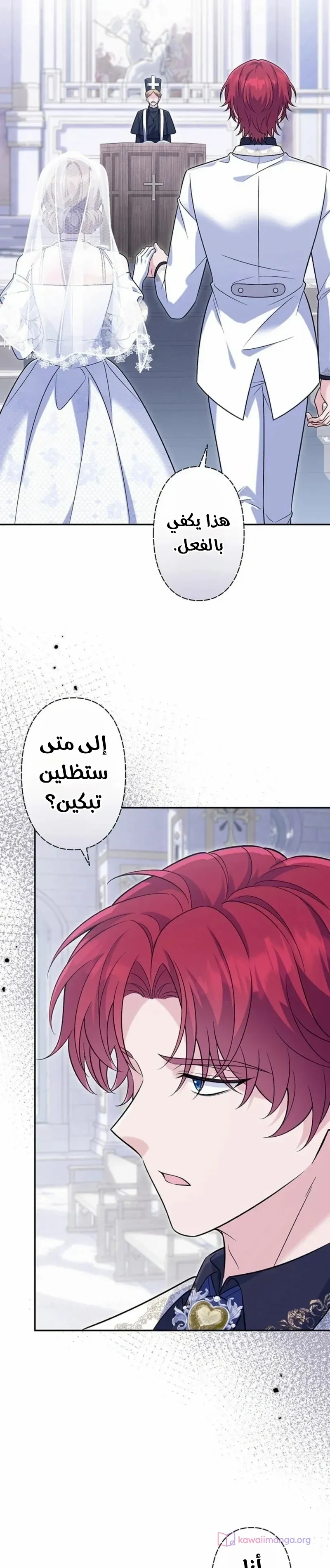 الصفحة 26