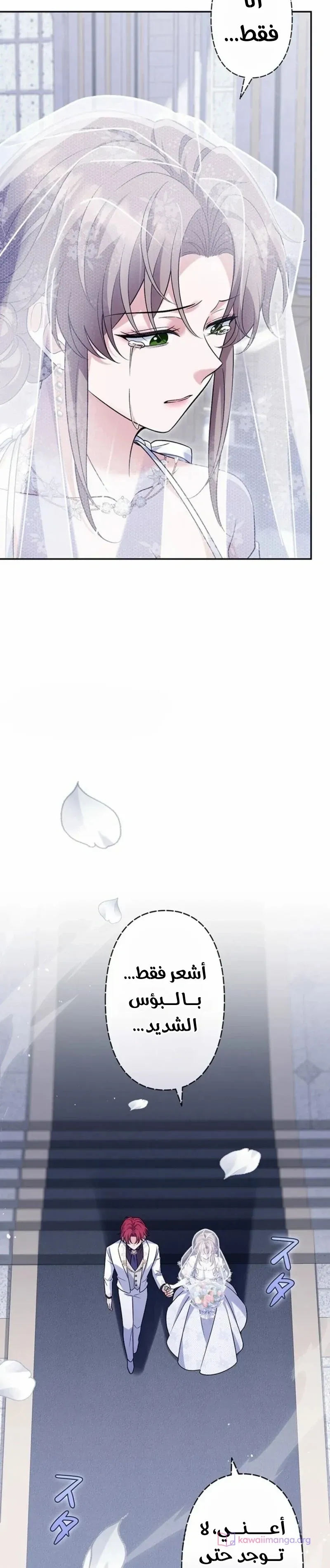 الصفحة 27