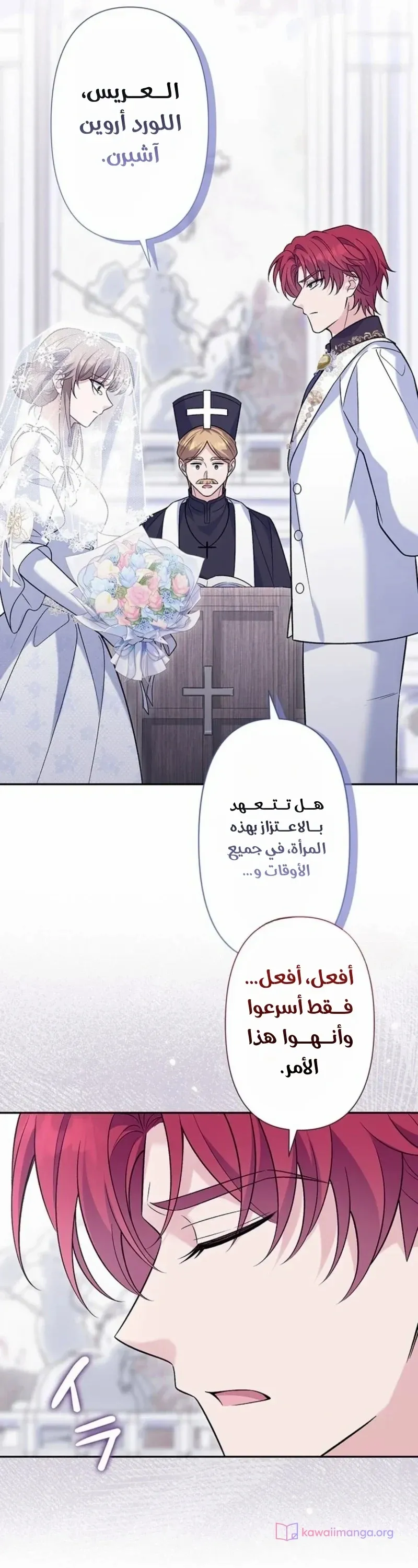 الصفحة 29
