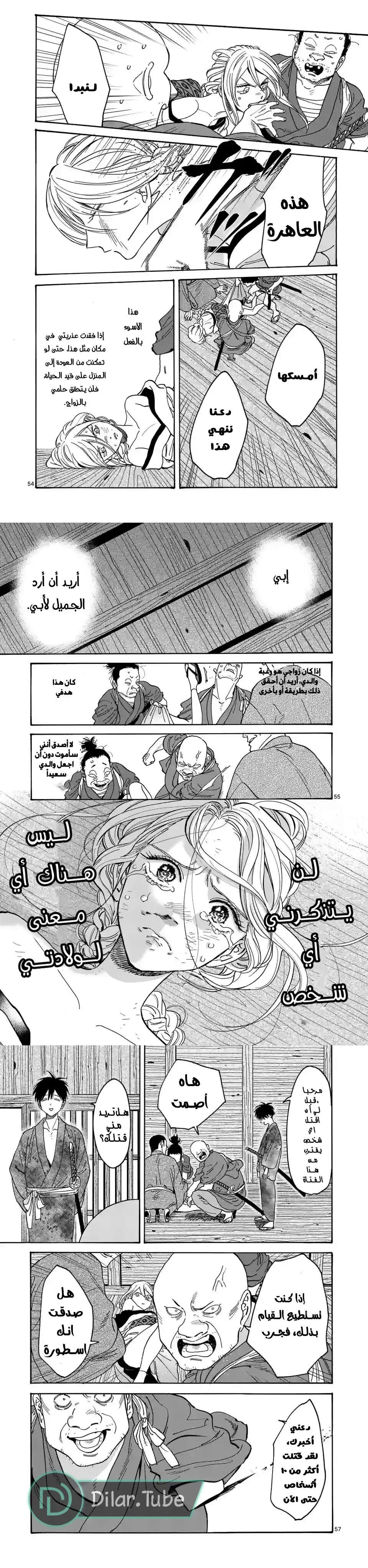الصفحة 17