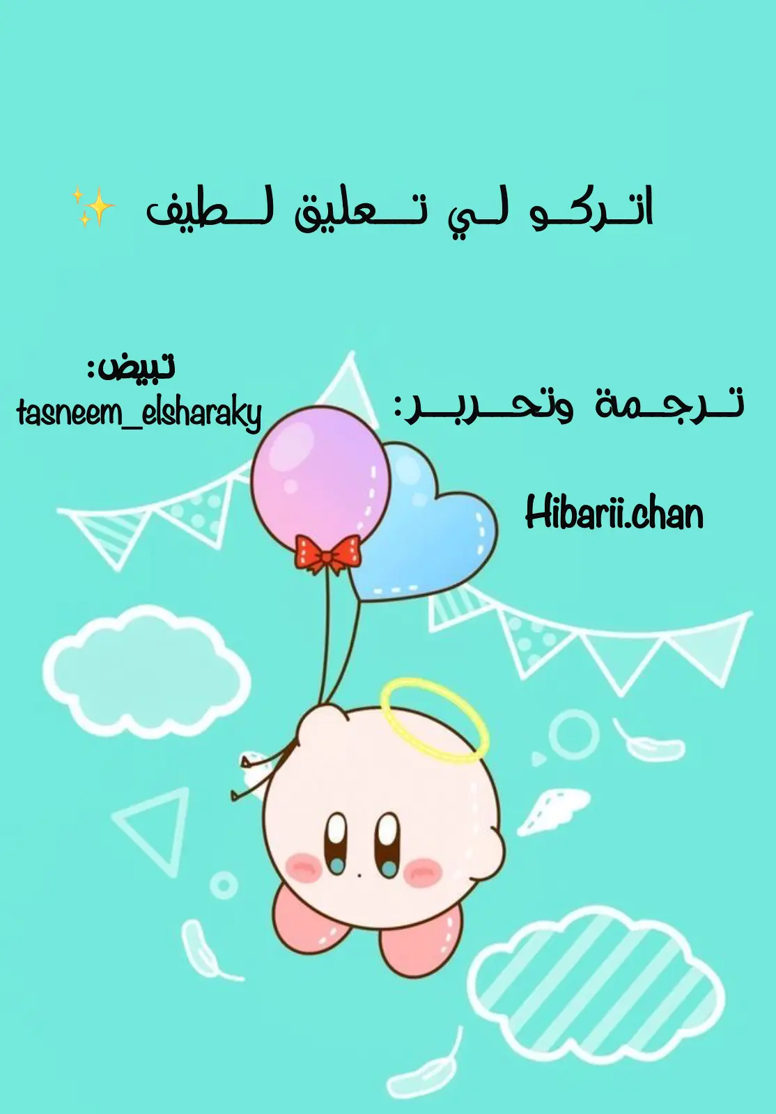 الصفحة 17