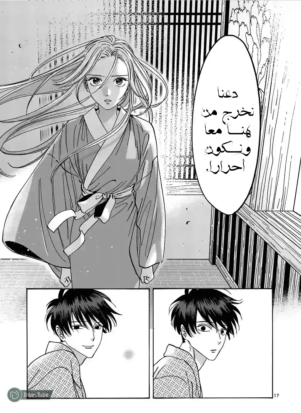 الصفحة 17