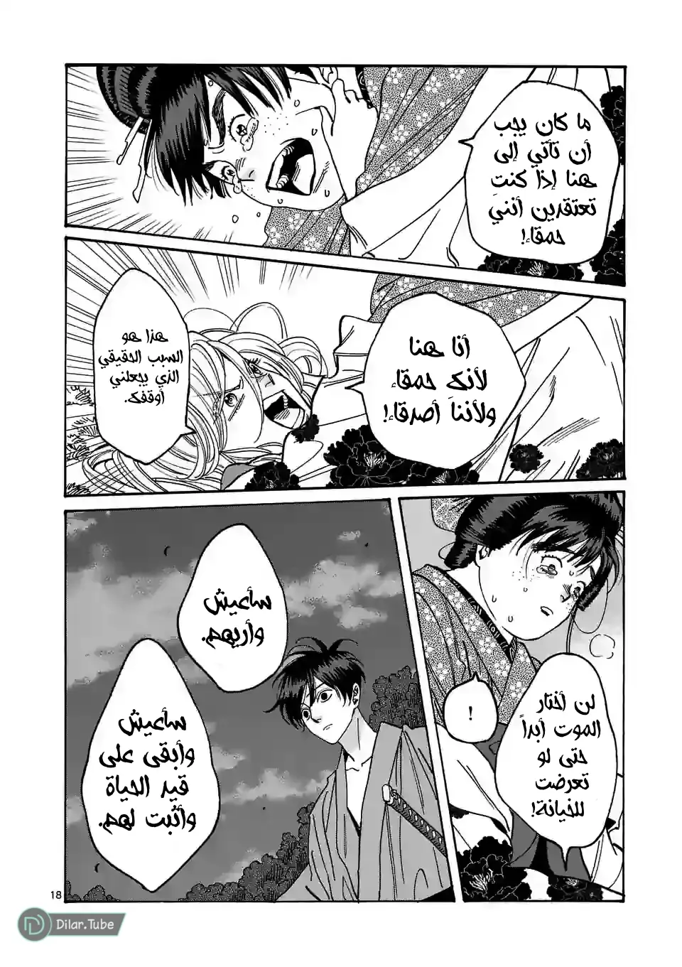 الصفحة 13
