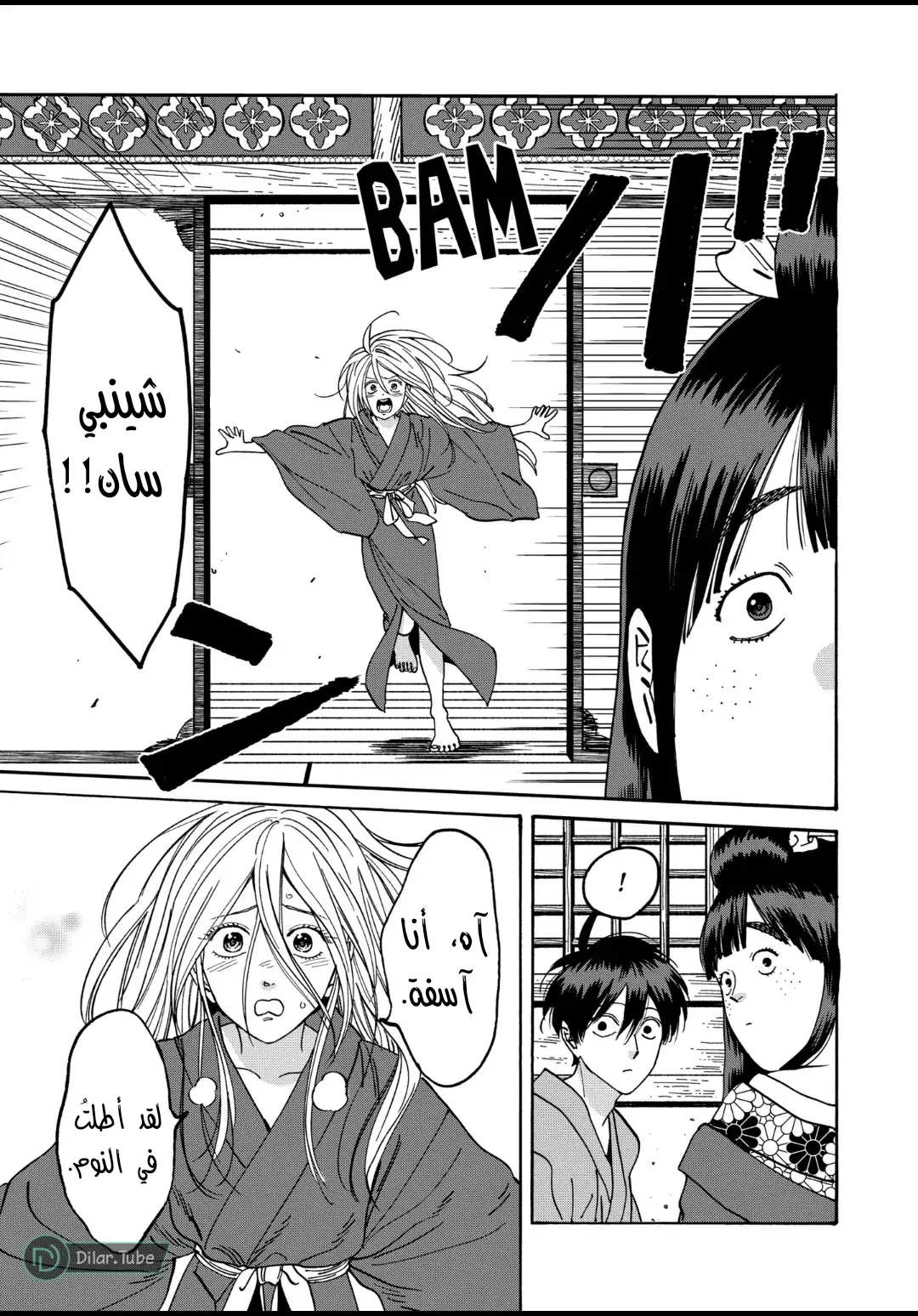 الصفحة 13