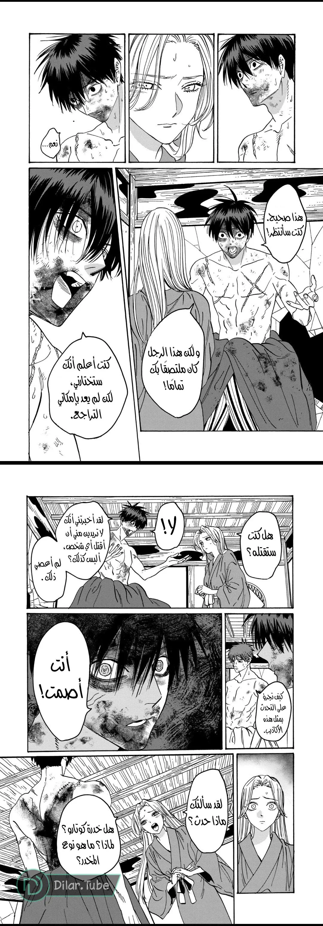 الصفحة 17