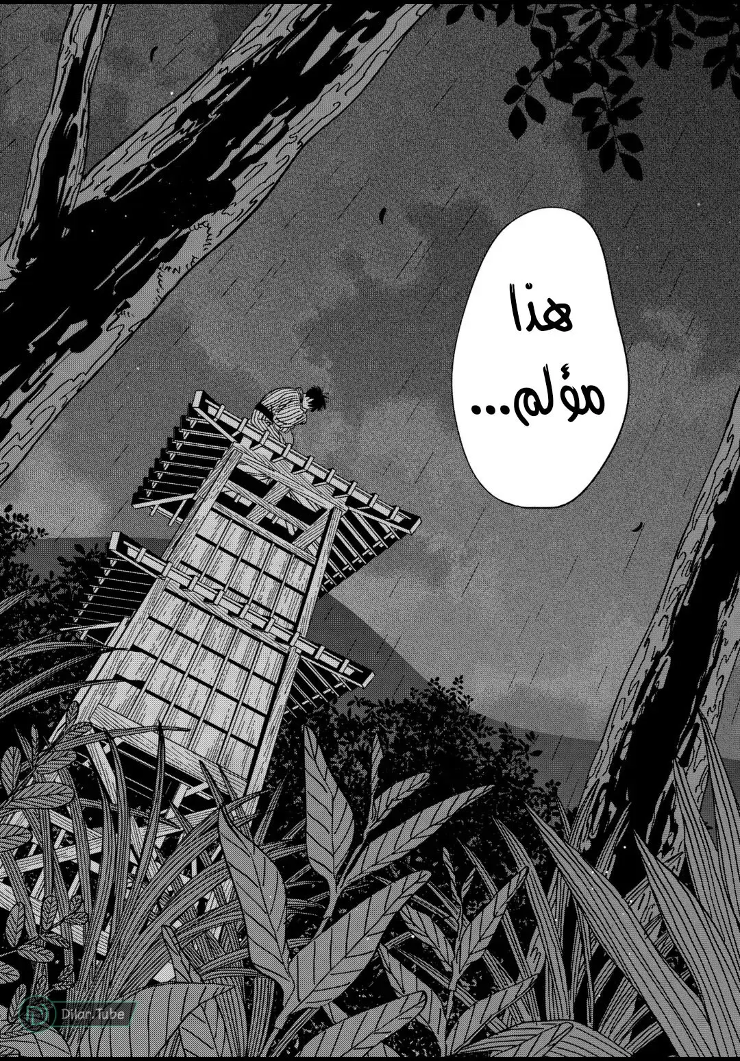 الصفحة 19