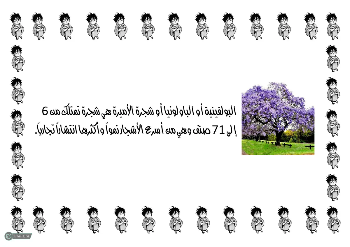 الصفحة 28