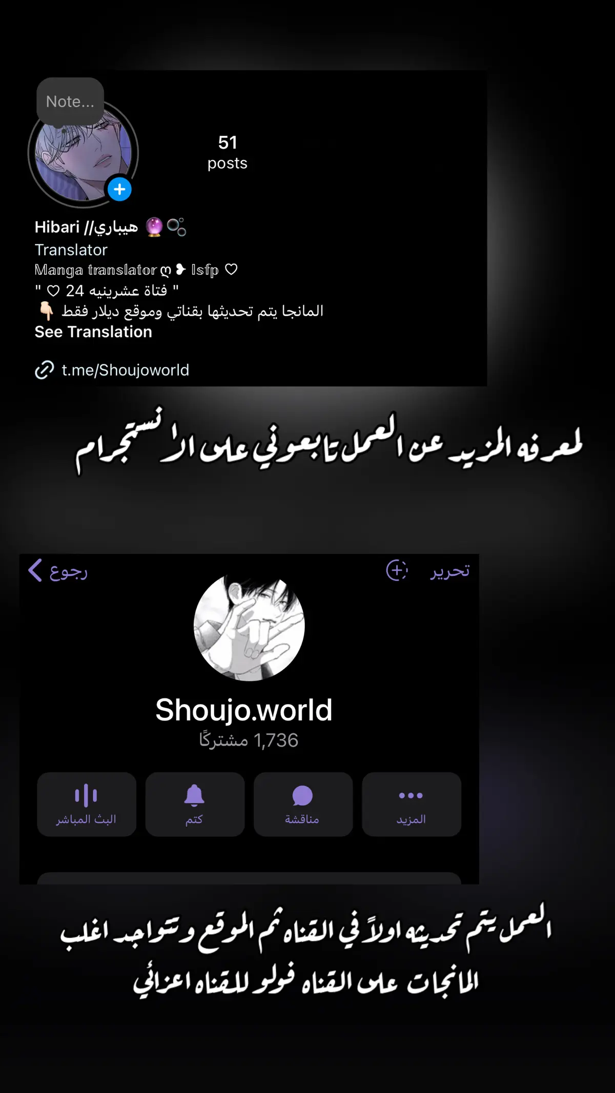 الصفحة 16