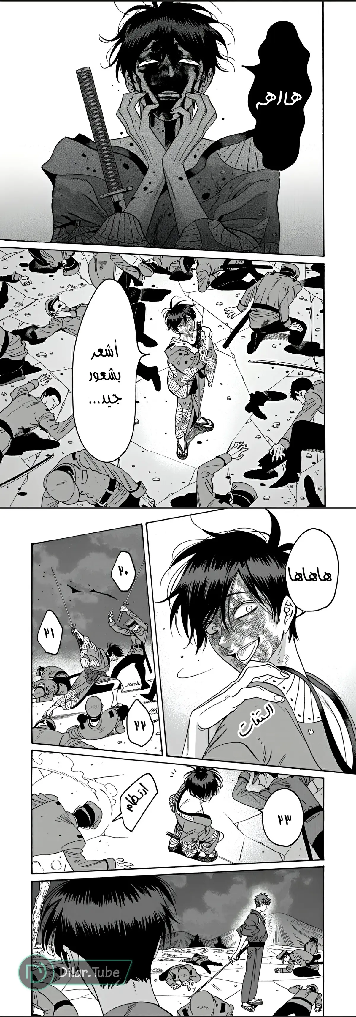 الصفحة 13