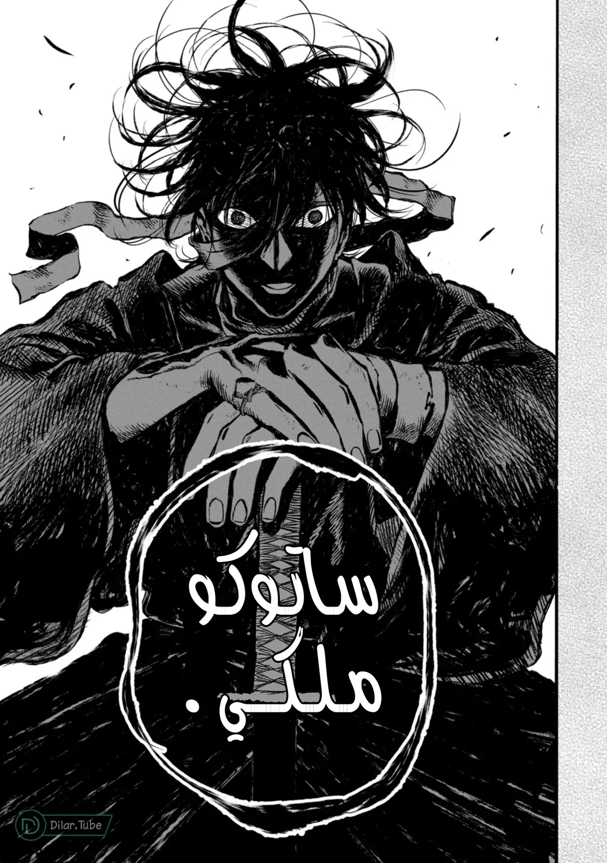 الصفحة 13