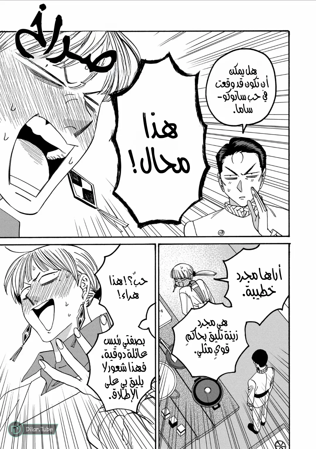 الصفحة 17