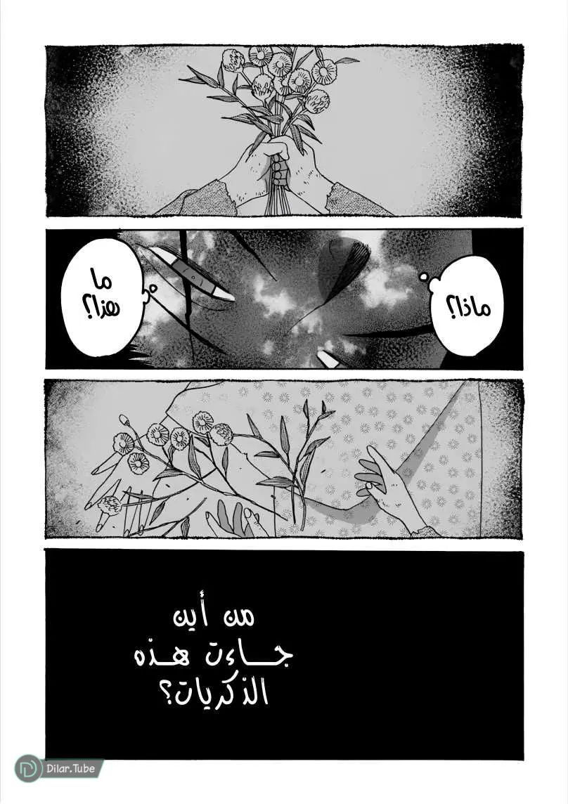 الصفحة 15
