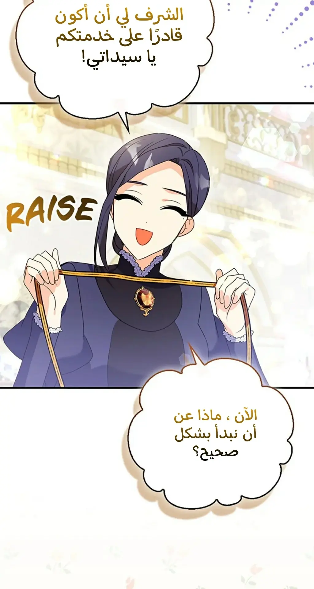 الصفحة 12
