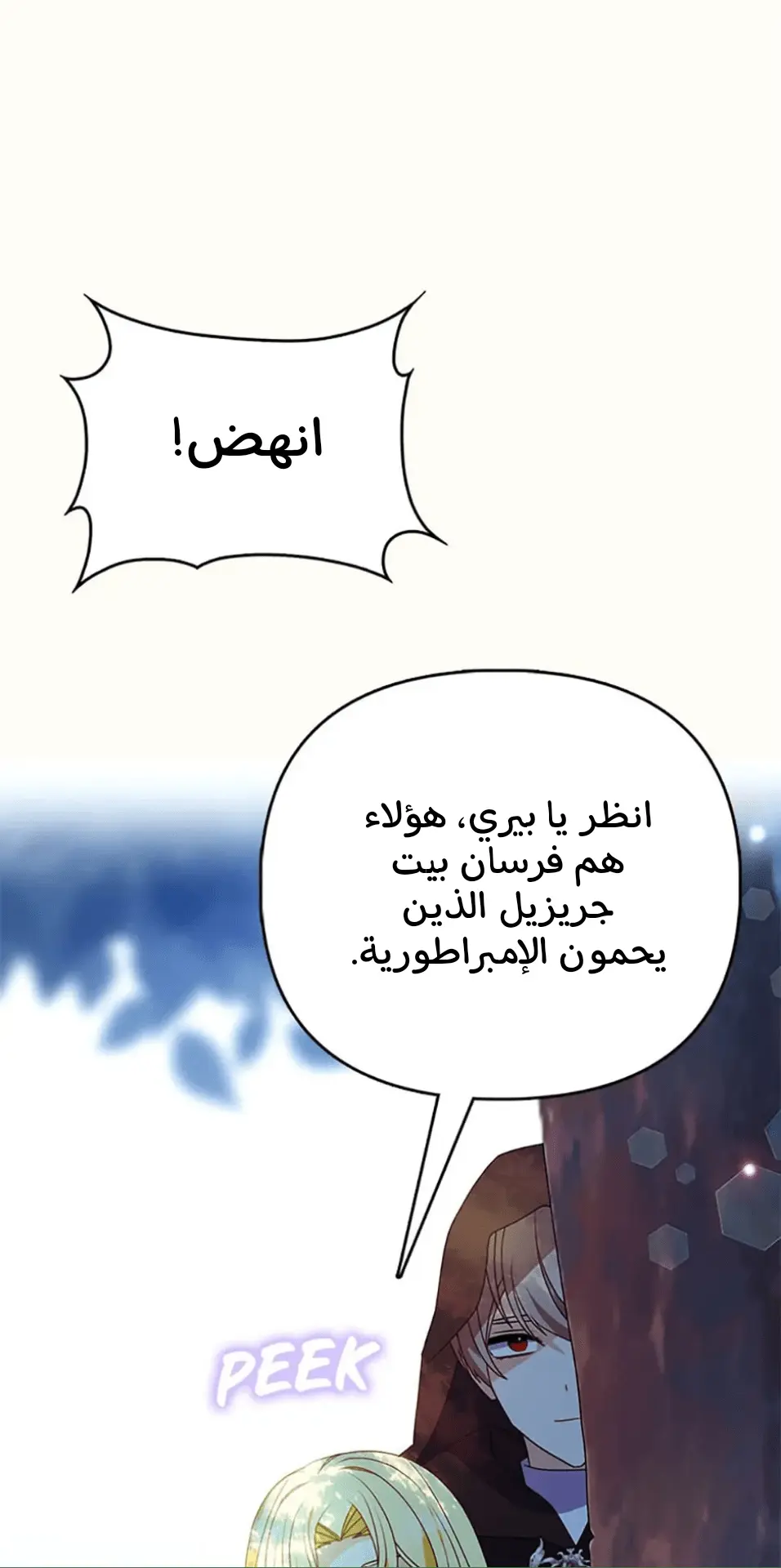 الصفحة 43