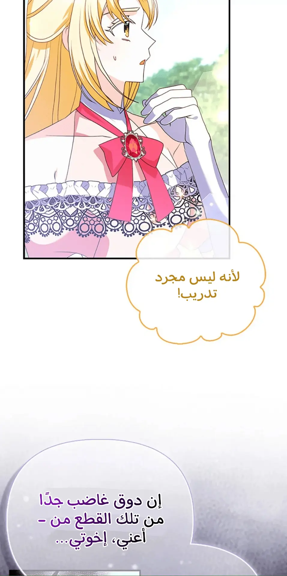 الصفحة 47