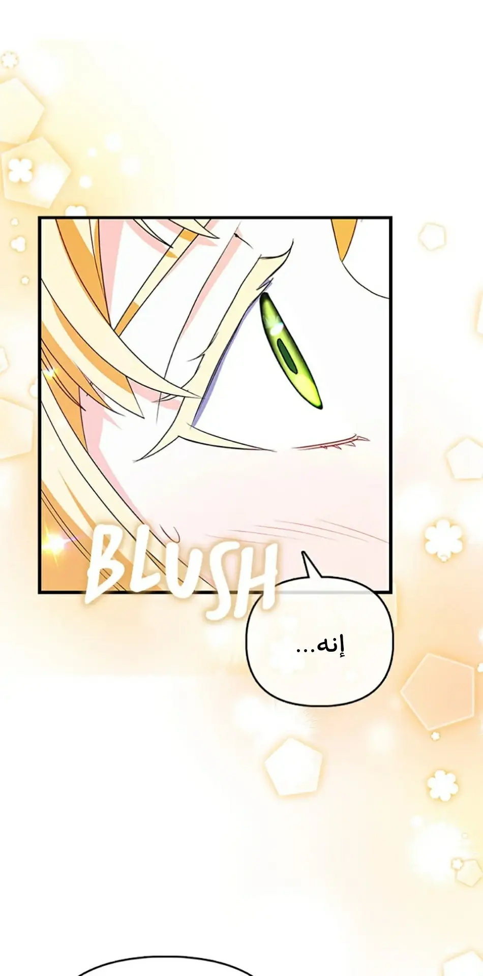 الصفحة 61