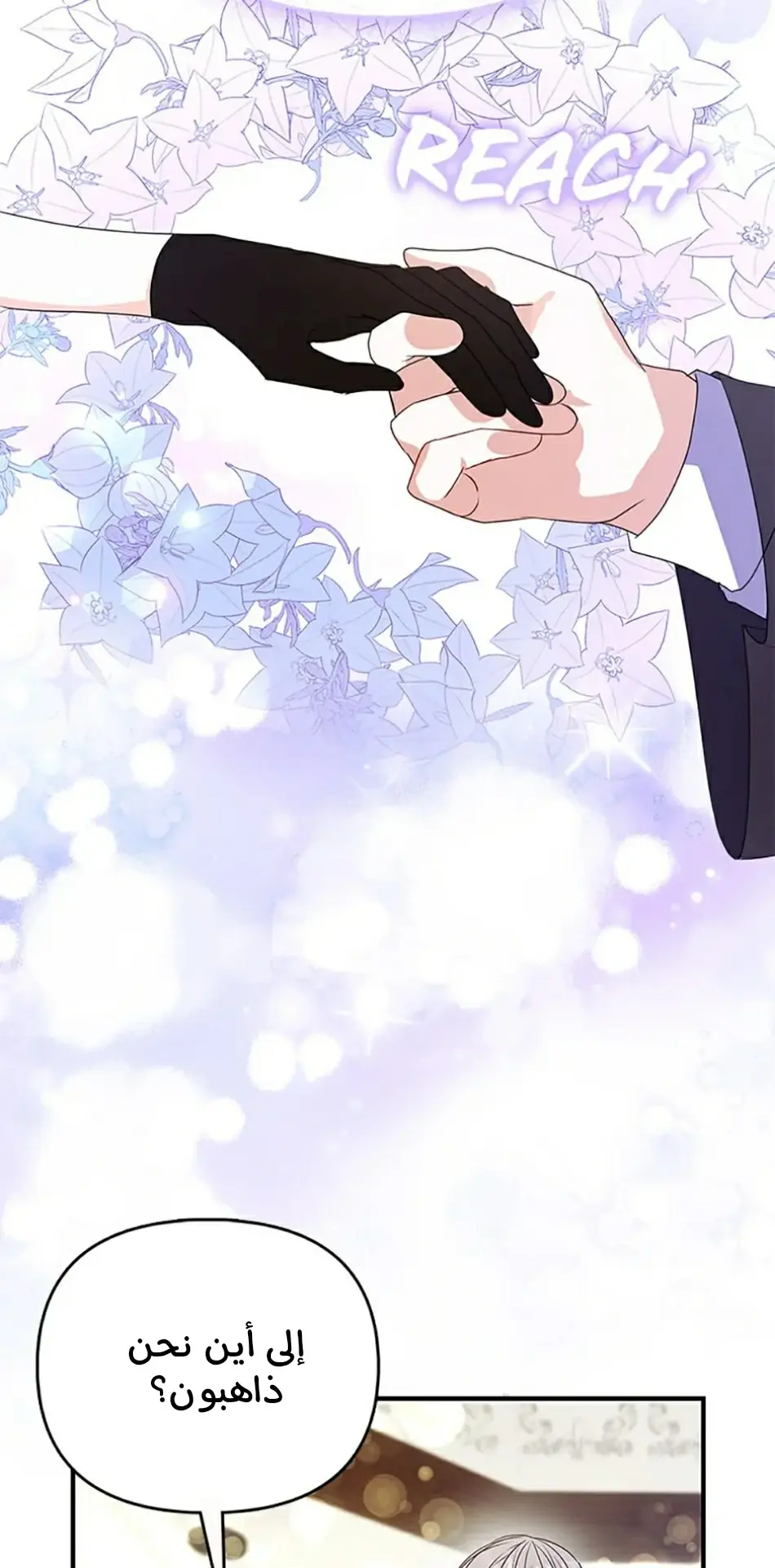 الصفحة 66