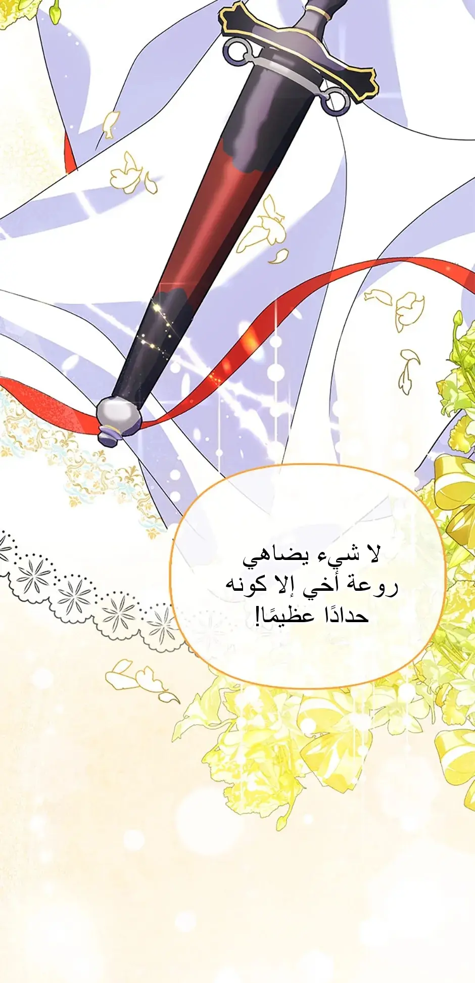 الصفحة 41