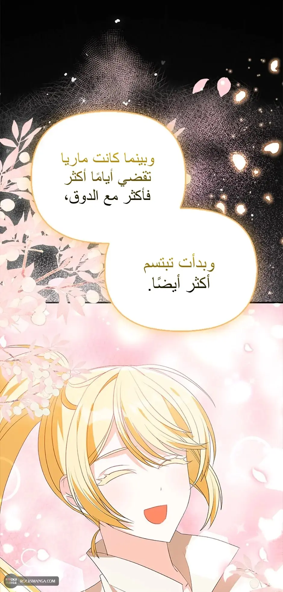 الصفحة 24
