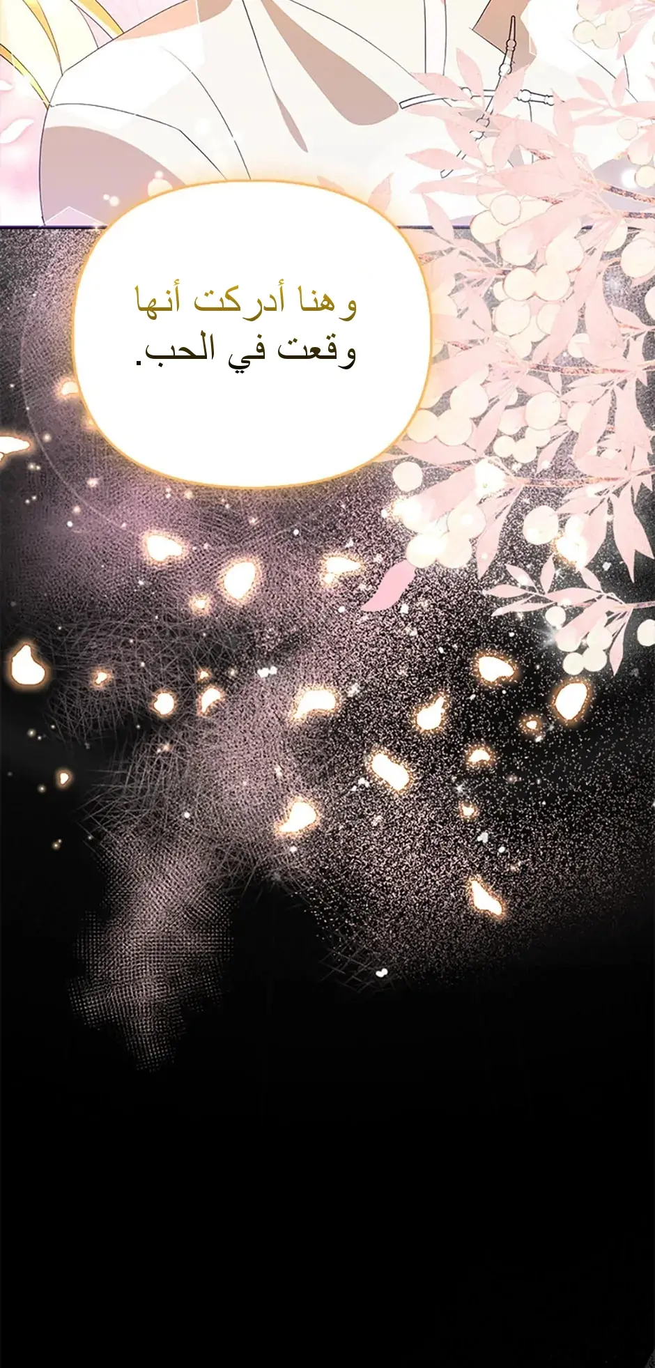 الصفحة 25