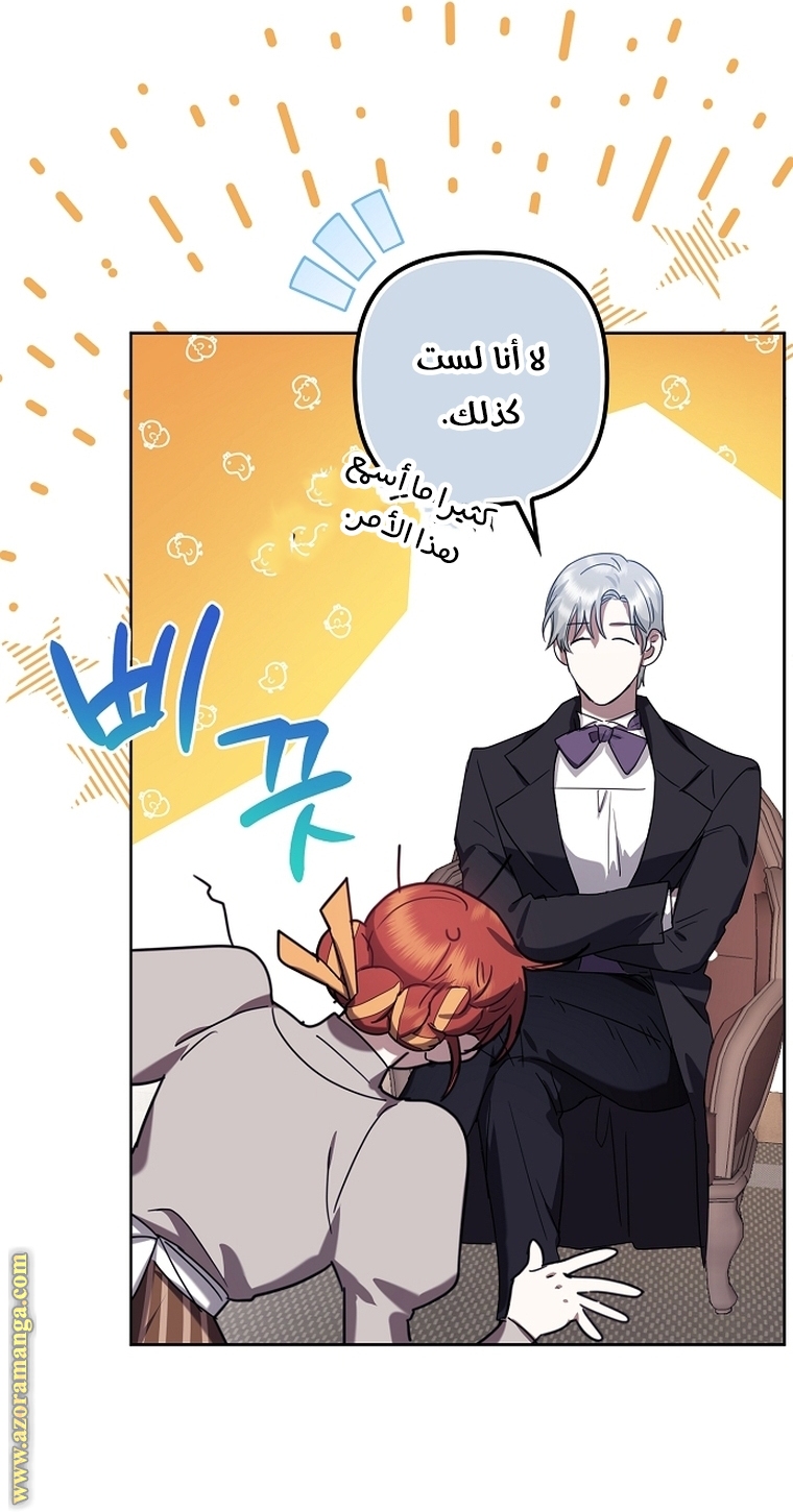 الصفحة 19
