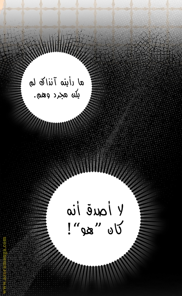 الصفحة 30