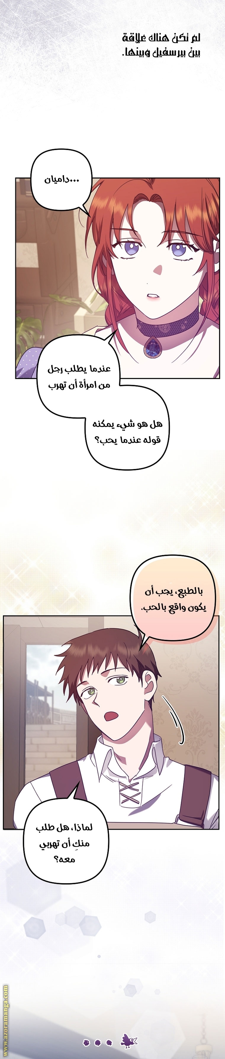 الصفحة 17