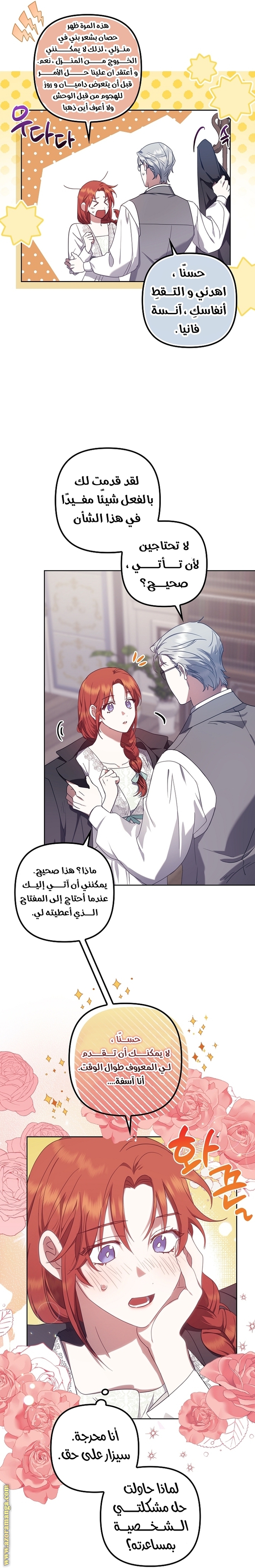 الصفحة 17