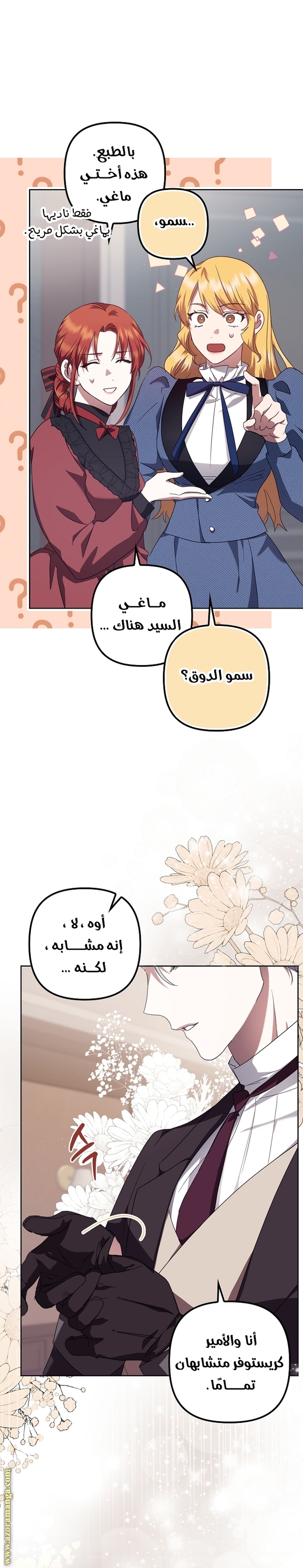 الصفحة 15