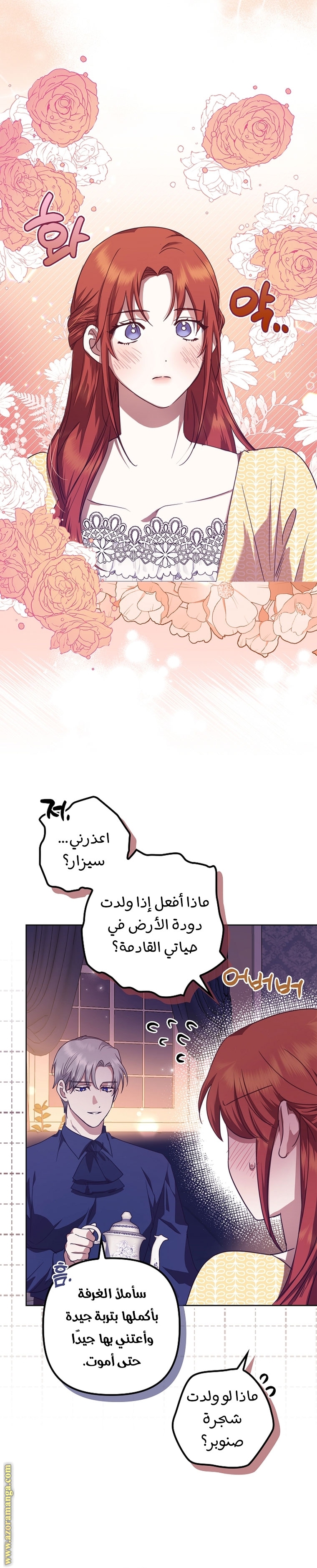 الصفحة 26