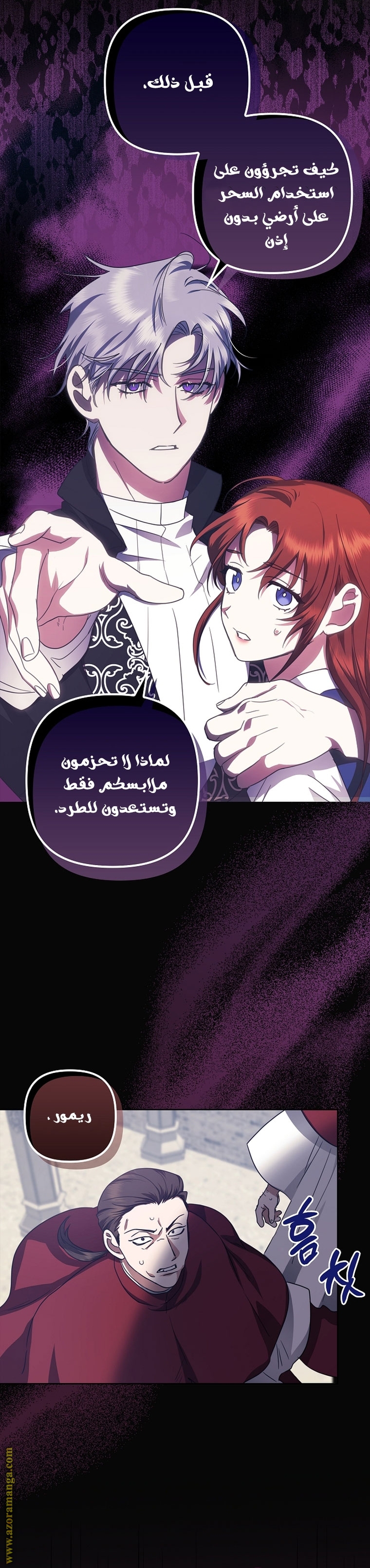 الصفحة 13