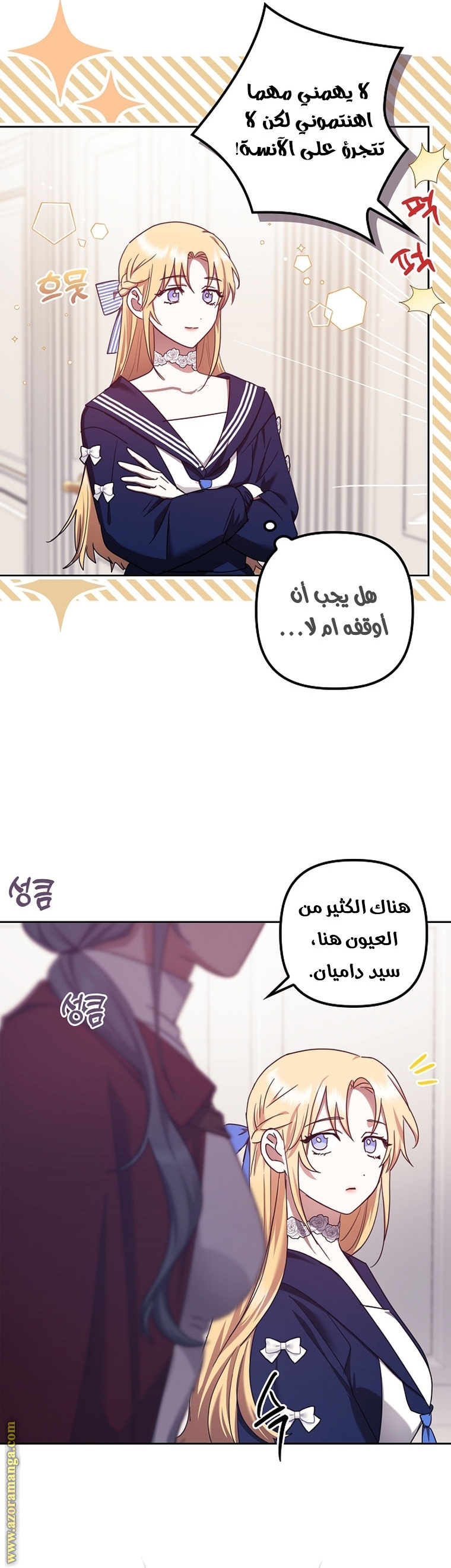 الصفحة 17