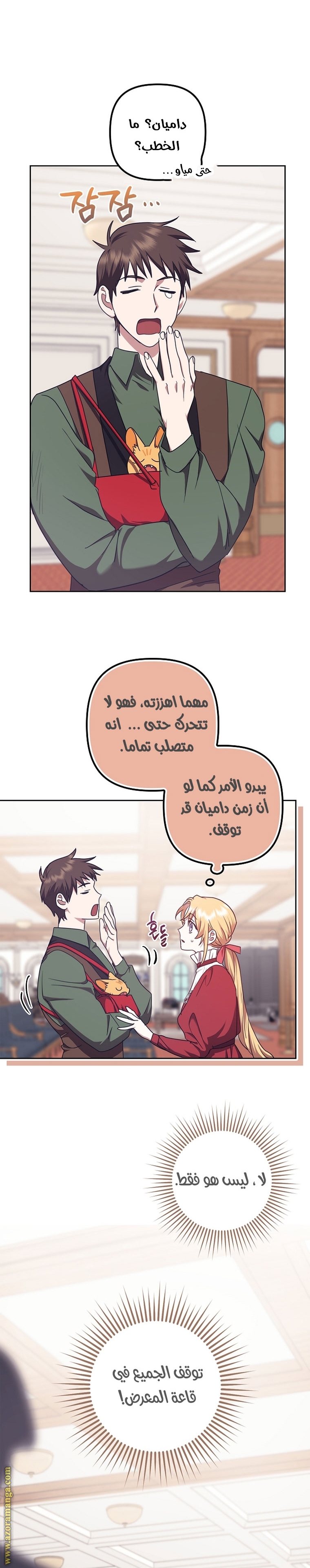 الصفحة 17