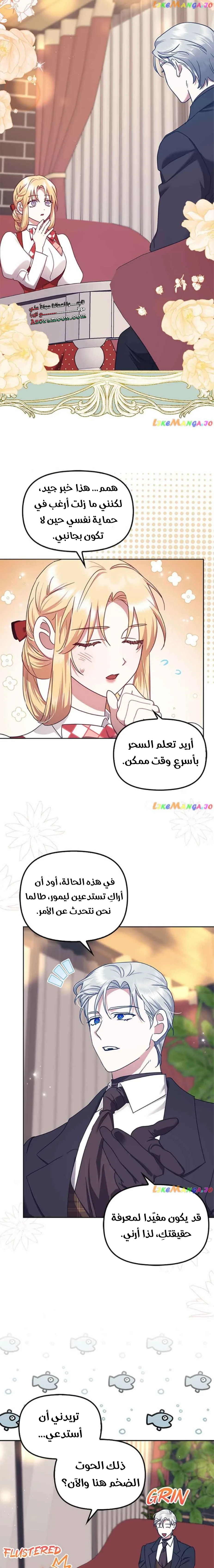 الصفحة 11