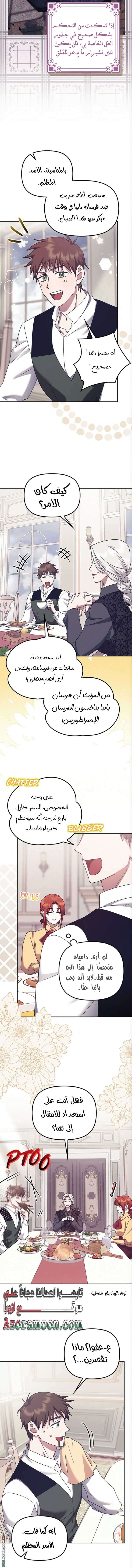 الصفحة 17