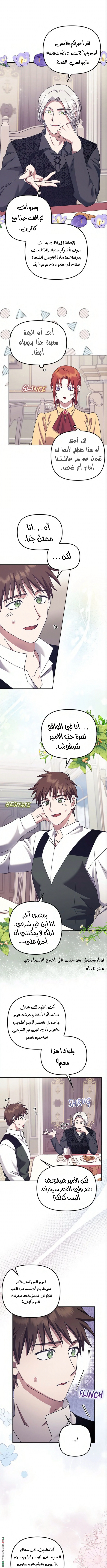 الصفحة 19